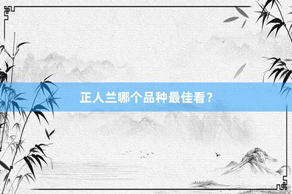 正人兰哪个品种最佳看?
