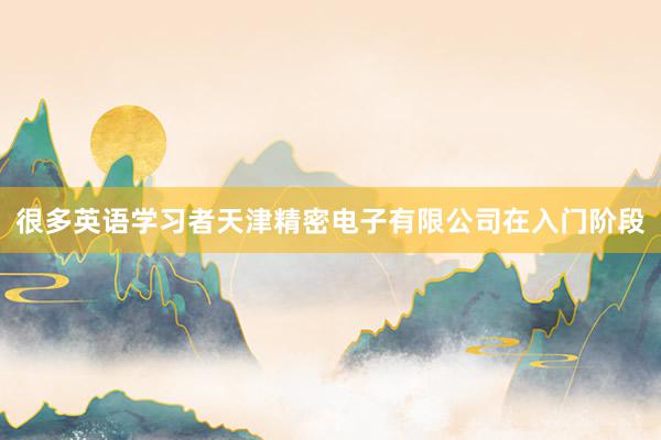 很多英语学习者天津精密电子有限公司在入门阶段
